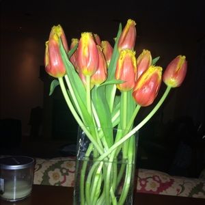 Meet your Posher, Garth